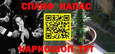 мет Ливны