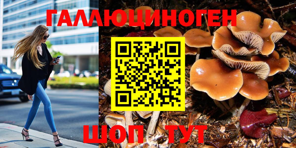 Псилоцибиновые грибы Psilocybine cubensis Щёлково