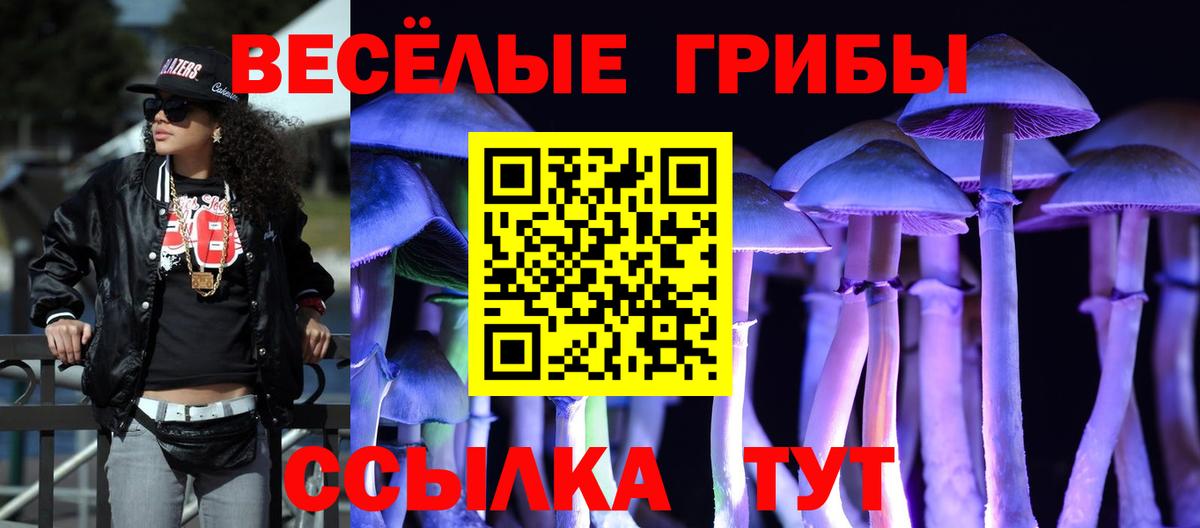 закладка  Галлюциногенные грибы ЛСД  Вход с VPN  Щёлково 